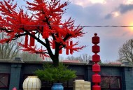 传统医学《明目功》：从根源调理，科学养护眼睛健康