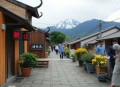 谷子书店（碧珊作品，杨晨、张震演播）