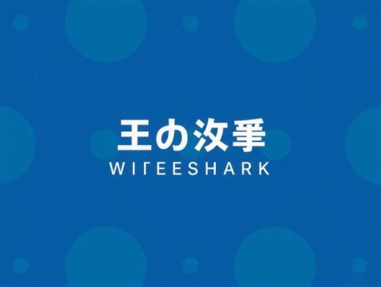 Wireshark协议分析从入门到精通图片