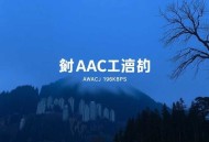 绝叫.叶真中显.AAC.96kbps