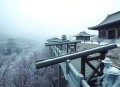 林海雪原 _ 智取威虎山原著广播剧