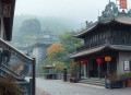 焦虑的中产｜骆驼演播