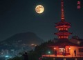 大佬娇妻带球跑 _ 夜司命&欧林之声
