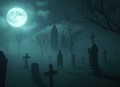 我真不是仙二代无敌打脸修真丨妖魔鬼怪丶老道完结