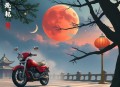 大石真[巧克力战争]全13集-文月