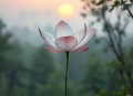 茶花女