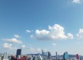 超禁忌游戏（章鱼合集版 181）（完结）