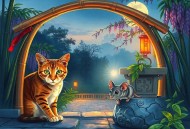 猫鼠游戏.广播剧