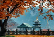 特工娇妻：长官太腹黑（1300全集）悦听工坊