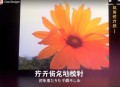 法布尔[昆虫记]全35集-小新