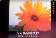 法布尔[昆虫记]全35集-小新