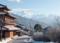 白日缠欢丨雪月之下丨娄枭丨疯批大佬丨强取豪夺
