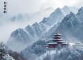 这个影帝只想考证丨都市丨娱乐明星丨歌曲丨搞笑丨流三声多人剧