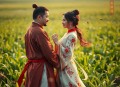 良田喜事：腹黑夫君美如花_古言穿越爆笑_半纸鸿鹊多人有声剧