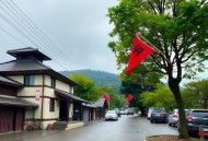 盗墓：我家末代族长是小哥_超人气悬疑推理剧_多播剧