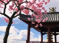 奇人传说茅山道士传奇，张二狗演播