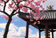 奇人传说茅山道士传奇，张二狗演播