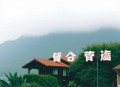 直播洗车，我被全网怀疑是卧底_沙雕爆笑&稽查系统