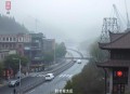 妻不厌诈：娄爷，我怀了你的崽 _现言甜宠_豪门总裁