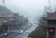 妻不厌诈：娄爷，我怀了你的崽 _现言甜宠_豪门总裁