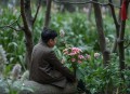 直播算命太准，全网蹲守吃瓜 _ 摆摊算命 _ 脑洞 _ 悬疑 _ 爽文 _ 加菲 _ 多人有声剧
