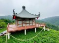 道北名门_张之沪著_社会纪实