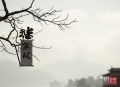 折腰丨宋祖儿主演同名影视原著丨徐佳琦X许言领衔丨蓬莱客著丨先婚后爱古言甜宠多人剧
