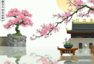 大叔爱上我_总裁甜宠双播剧（一念成馍_呆小蕊）