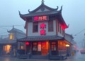 谷子书店（碧珊作品，杨晨、张震演播）