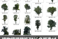 树枝树冠真实大树木参考场景PNG图片 