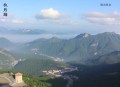 前妻乖巧人设崩了_追妻火葬场_华丽归来_豪门甜宠