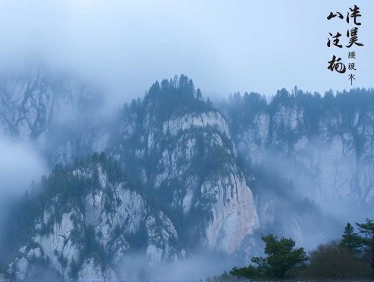 掐指一算,又得找大佬亲亲续命_轻灵异_直播_系统_多人有声剧_类玄门卦象