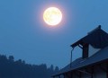 权欲Ⅱ｜反腐·权色交易·谋官谋权