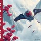 三国演义(361回) 袁阔成 - 在线收听