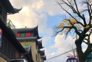 德尔塔的悲剧.浦贺和宏