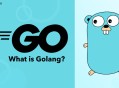 体系课 Go开发工程师全新版