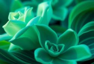 战神粟裕 _ 深度揭秘一代战神粟裕的戎马生涯