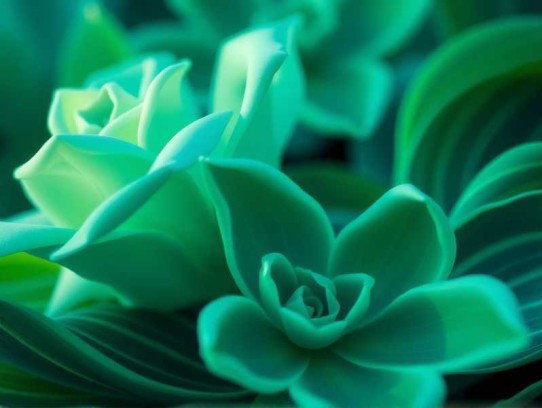 战神粟裕 _ 深度揭秘一代战神粟裕的戎马生涯