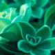 战神粟裕 _ 深度揭秘一代战神粟裕的戎马生涯
