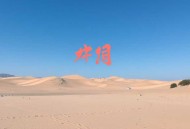 卫斯理系列-巫艳