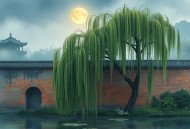 宫墙柳.广播剧