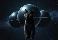 三体 读客熊猫君