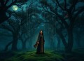 星辰落下之时.广播剧