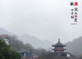 金蚕往事（更新中）