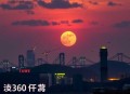 超越好奇 _ 王明军演播，周鸿祎从大学到公司上市的传记自述丨360九死一生的创业实践历程，创业避坑指南！商业大佬成长历史
