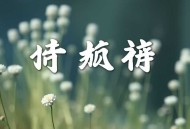长安好｜重生大格局女强爆笑团宠古言｜非10原著｜VIP免费多人剧
