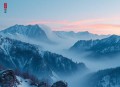 细嗅危糖 _ 《危险爱人》影视原著 _ 悬爱多人有声剧 _ 叶聪灵影视原著