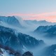 细嗅危糖 _ 《危险爱人》影视原著 _ 悬爱多人有声剧 _ 叶聪灵影视原著