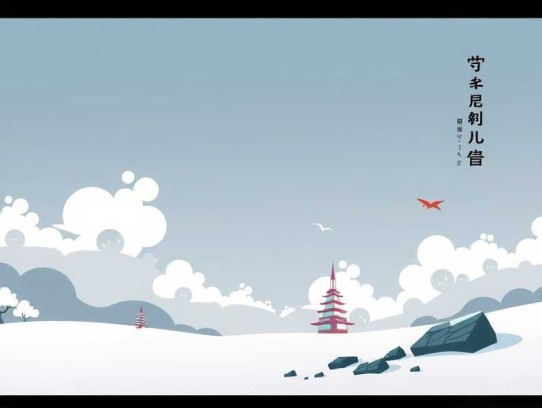 王松傲寒全能视频拍摄课程图片