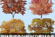 园林景观色叶树PSD素材合集PNG免抠图